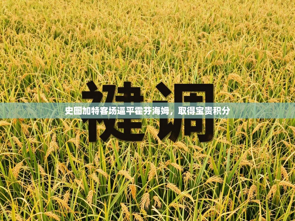 史图加特客场逼平霍芬海姆，取得宝贵积分  第2张