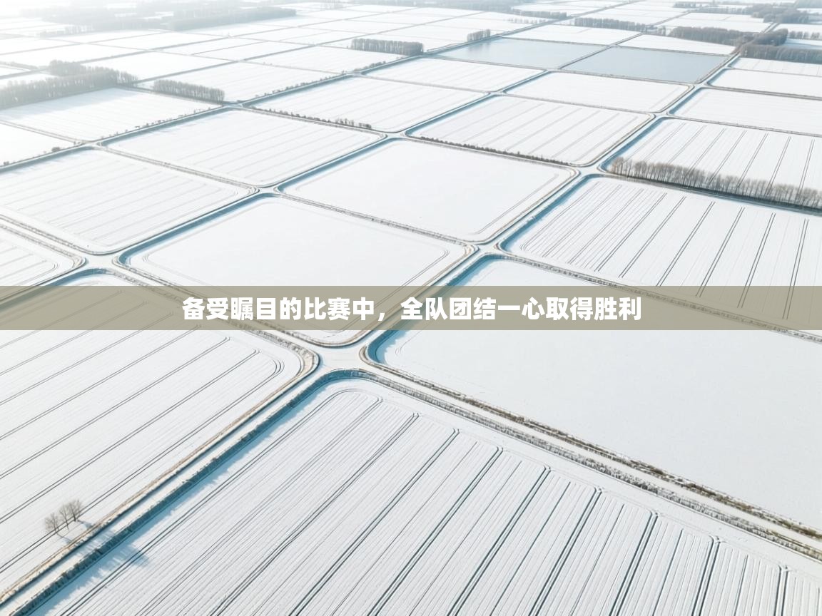 备受瞩目的比赛中,全队团结一心取得胜利 第2张