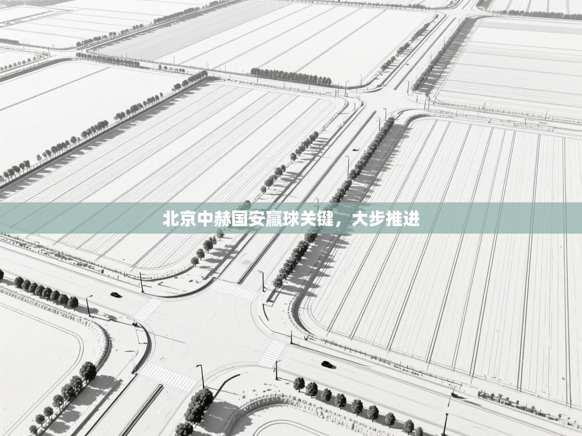 北京中赫国安赢球关键，大步推进  第1张