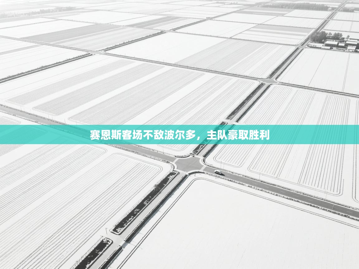 赛恩斯客场不敌波尔多,主队豪取胜利 第2张